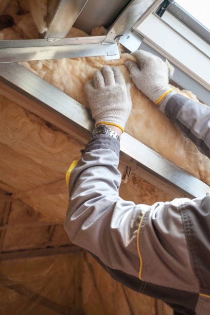 Best Insulation Maintenance and Repair in Brooksville, FL