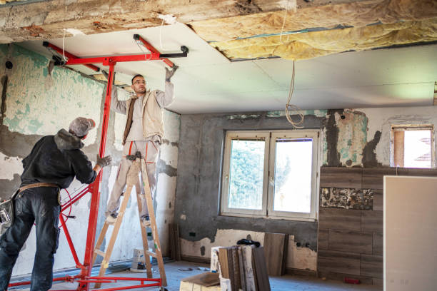 Best Eco-Friendly Insulation in Brooksville, FL